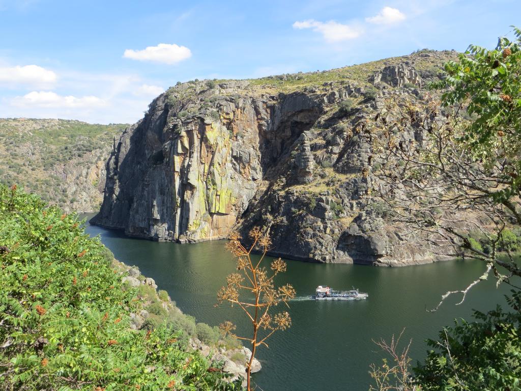 Camping Lamego Douro Valley Екстериор снимка